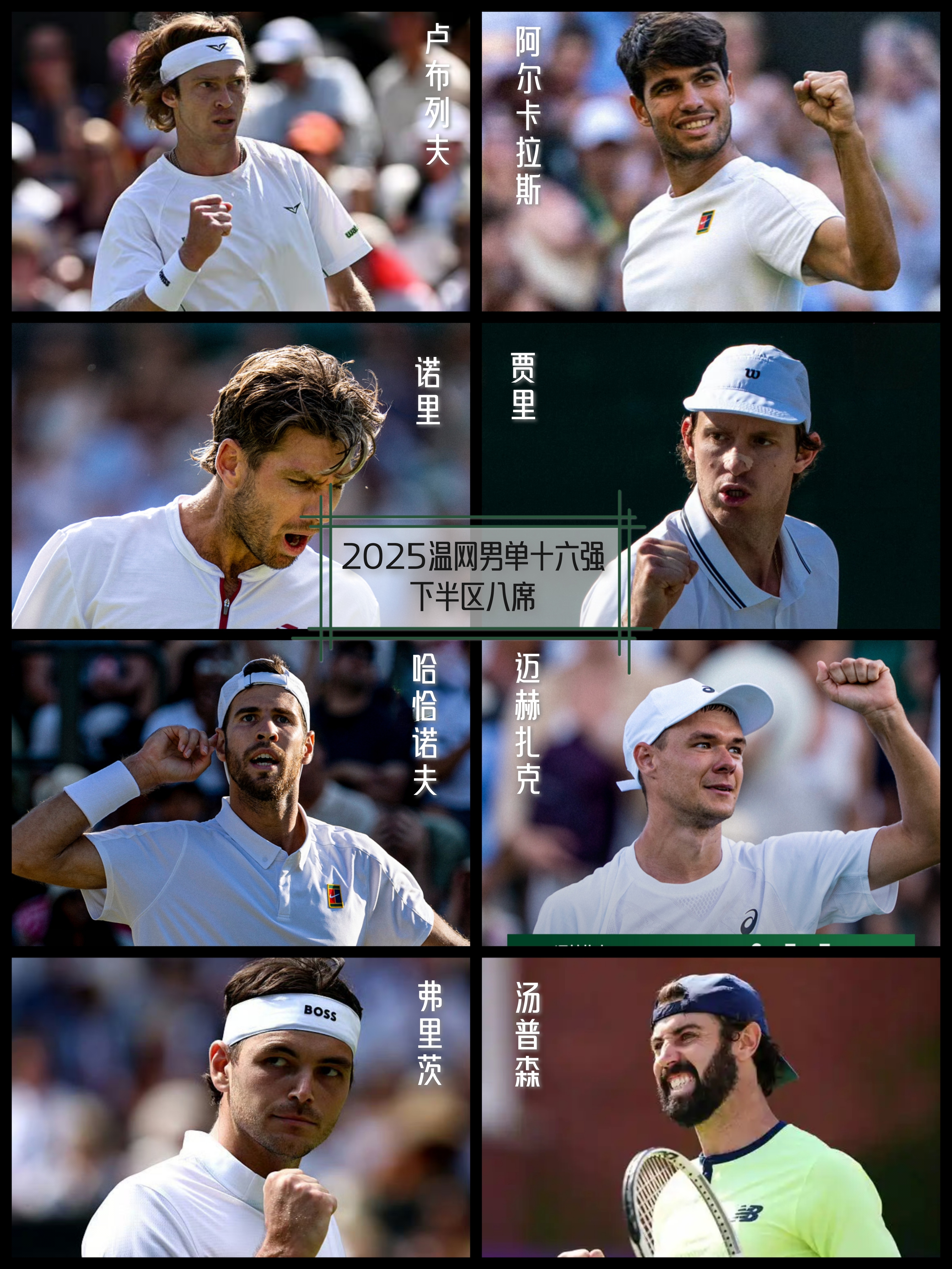 温网完胜ATP总决赛，穆雷统治全场