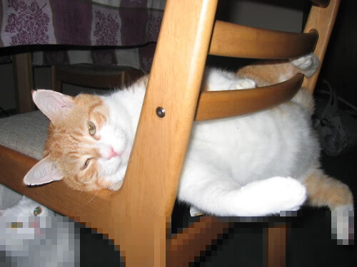 绞索上的绿茵，波尔的致命华尔兹与英格兰的战术碾轧