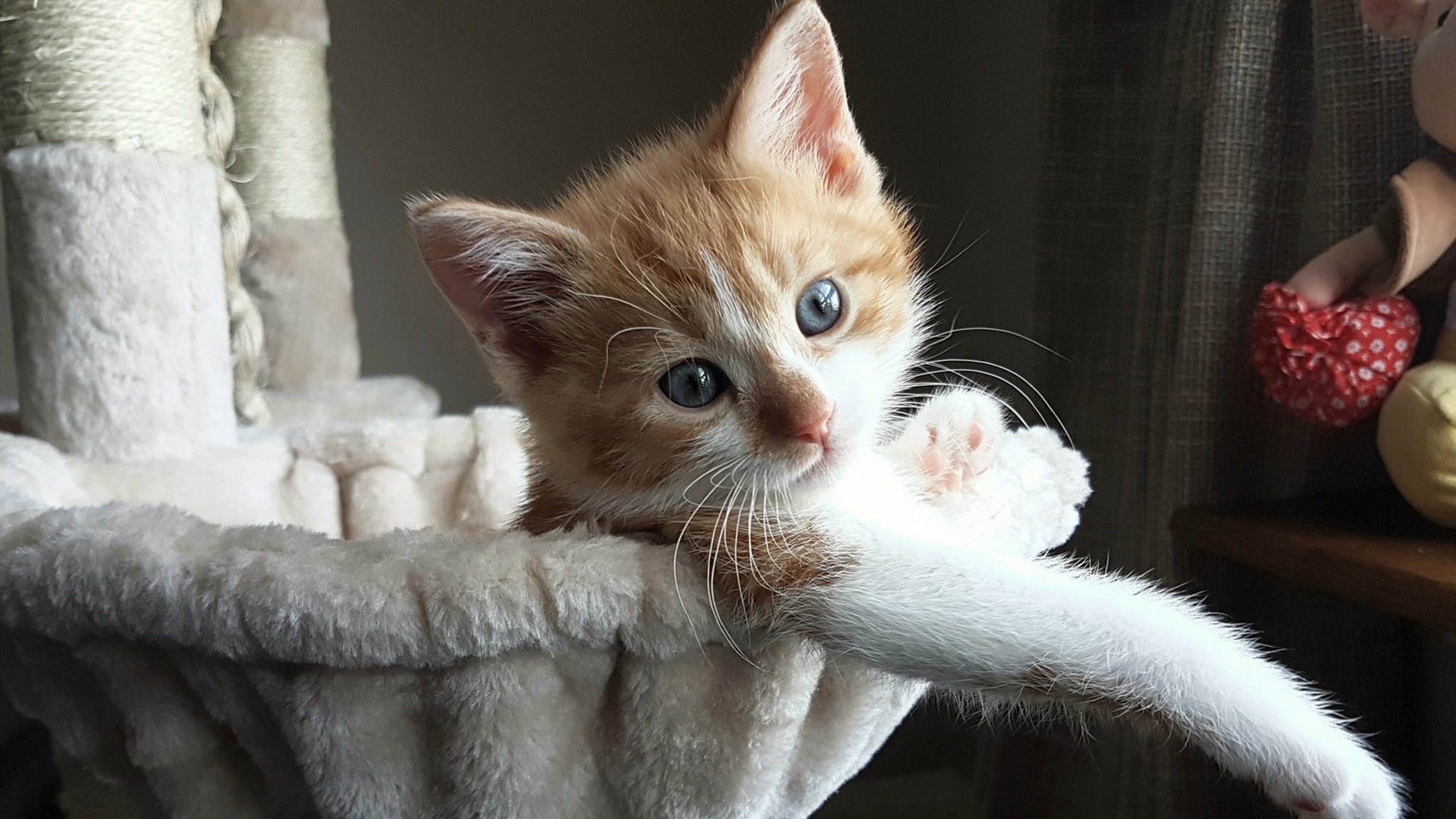 皇马vs智利，格列兹曼全场统治，碾压对手