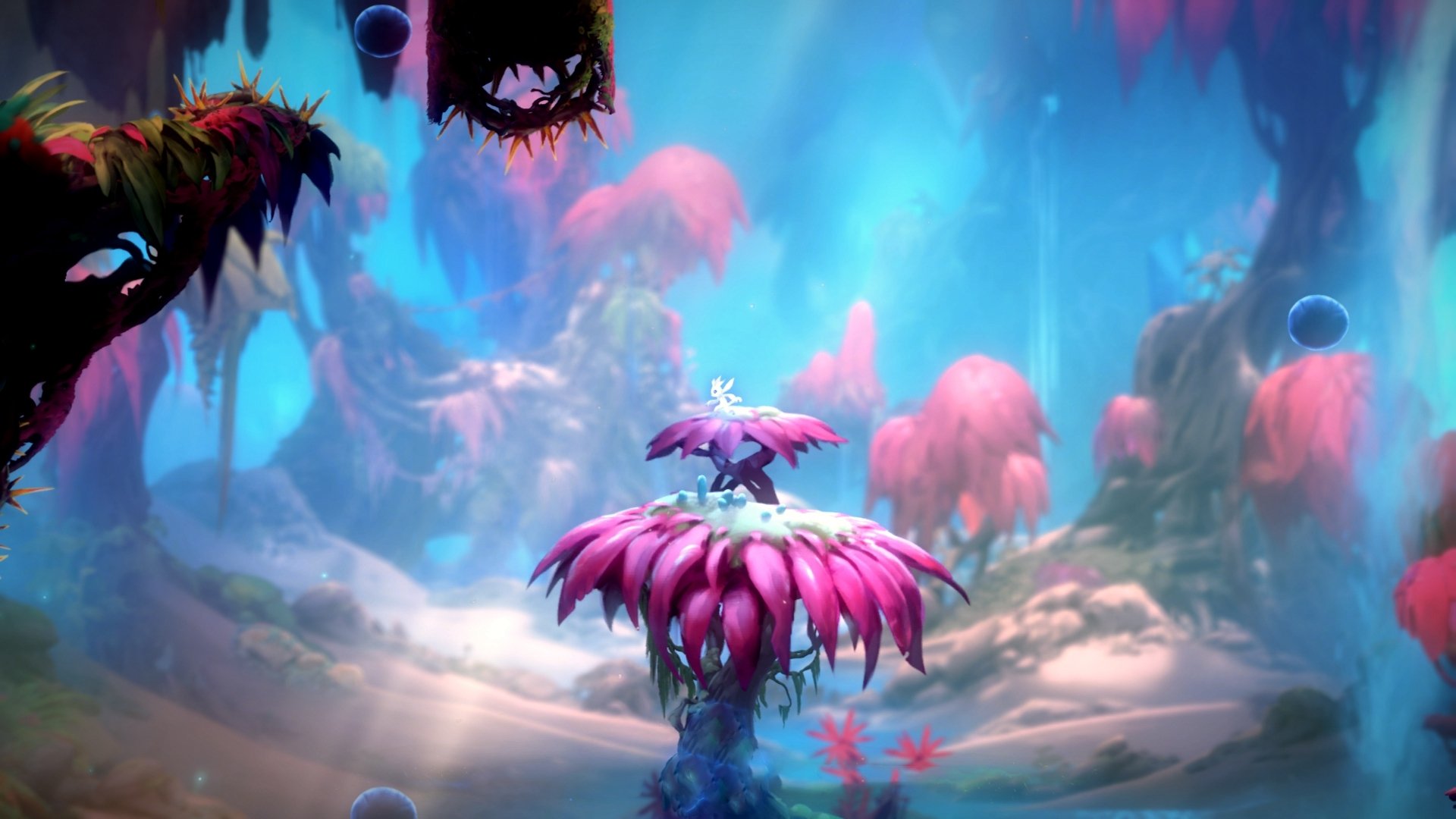 沉舟之舰与北境新王，一场重铸命运的NBA总决赛焦点战