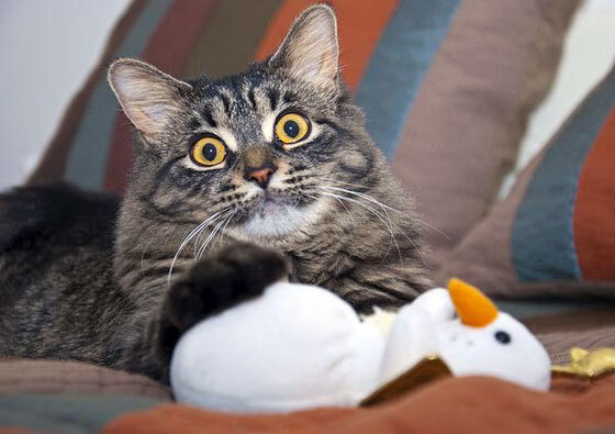 北欧风暴席卷赛场，挪威强行终结中国晋级之路