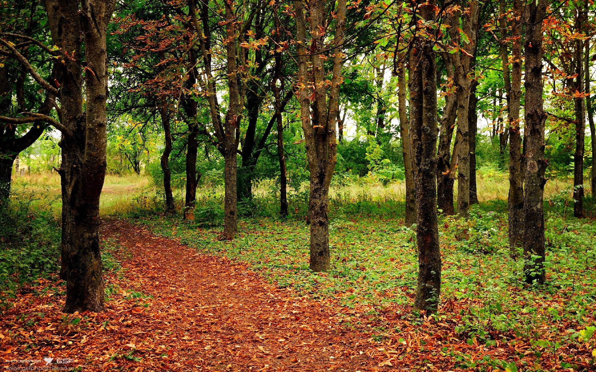 时间循环第137次，拉梅洛用唯一的方式击败了76人