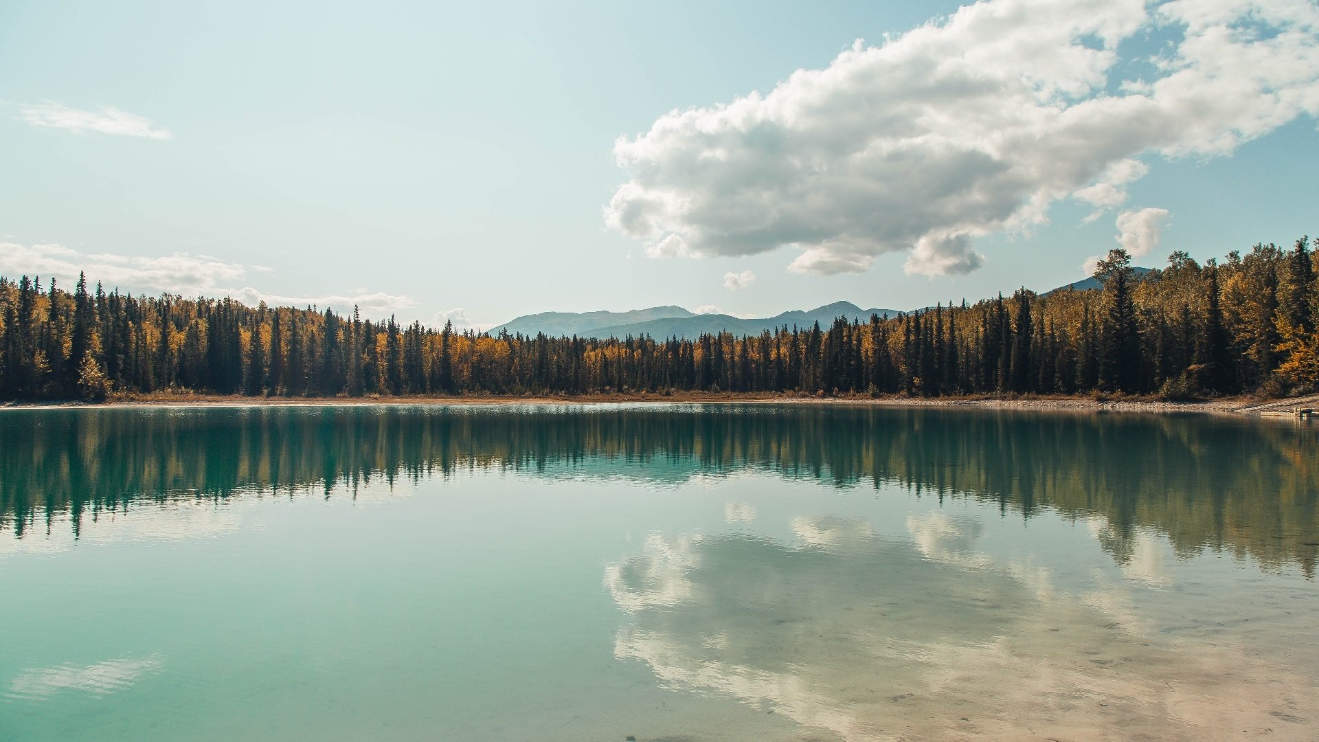 赛场之上,库里逆转乾坤,猛龙轻舟破浪—暗藏的冠军血脉