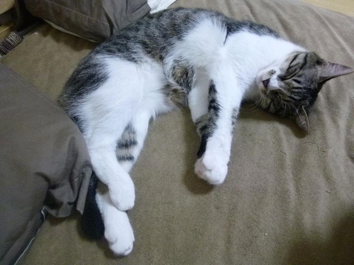 篮球赛场上的绞杀艺术,杜兰特持续杀伤,奇才淘汰山西队