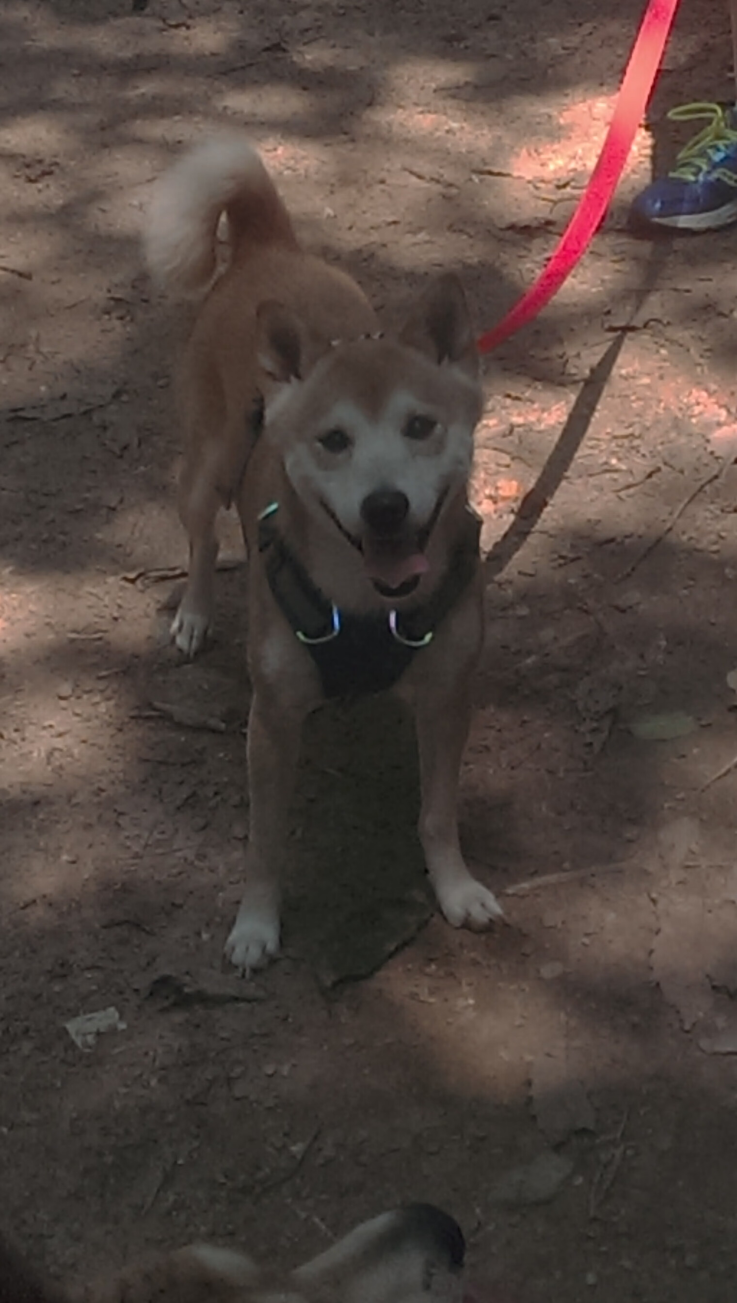 一剑封喉！乔治绝杀震麦迪逊，奇才客场力克尼克斯