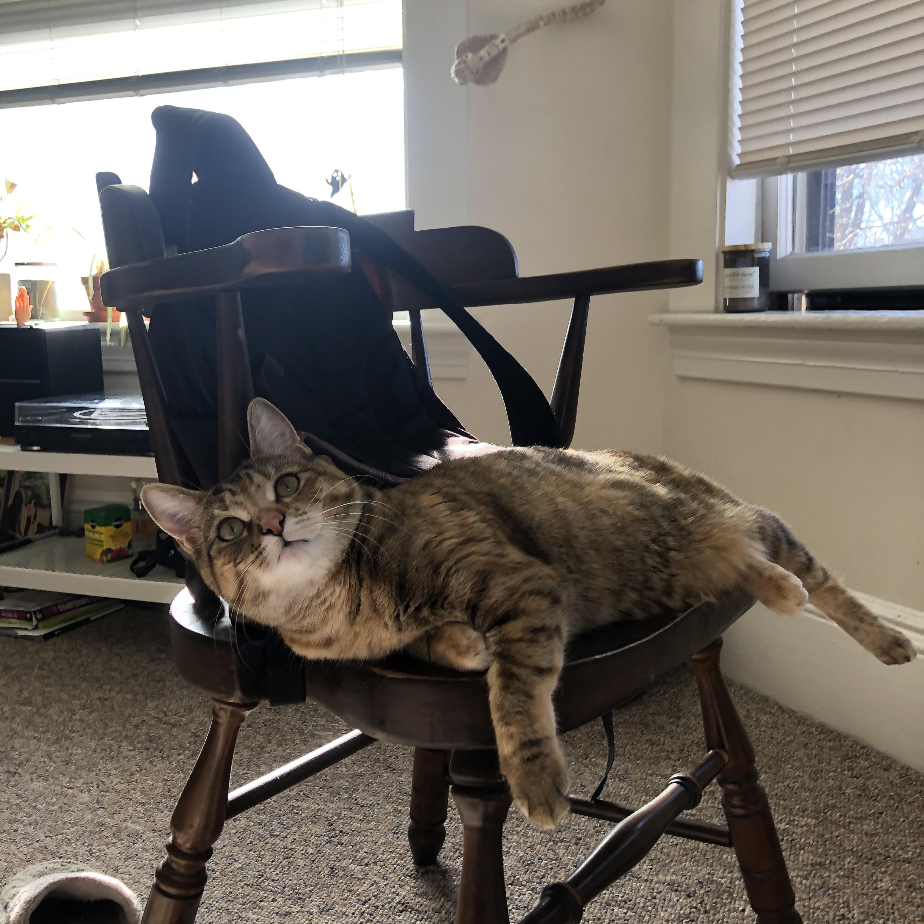 落雪无声,却见寒冰锁千军,当小贾伦的指尖改写洛杉矶天际