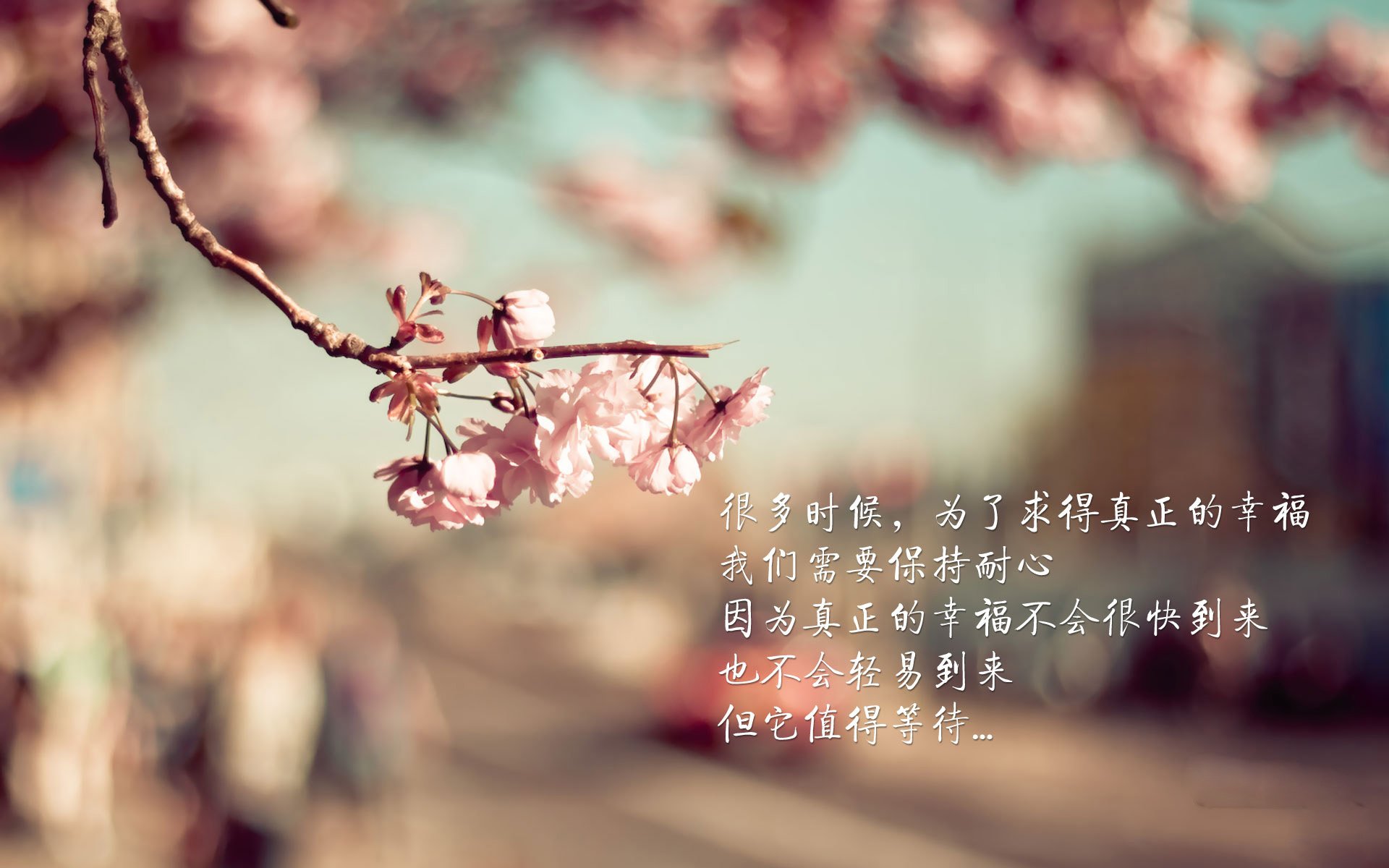 奥斯梅恩导演单边碾压，波兰钢铁防线崩塌之夜，保加利亚见证唯一的2026世界杯强强对话
